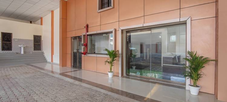 Treebo 金色卡西(Treebo Golden Kashi)图片