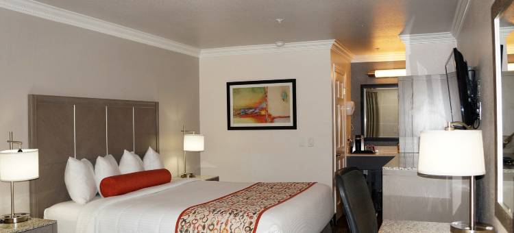 阿丽亚酒店(Hotel Aria)图片