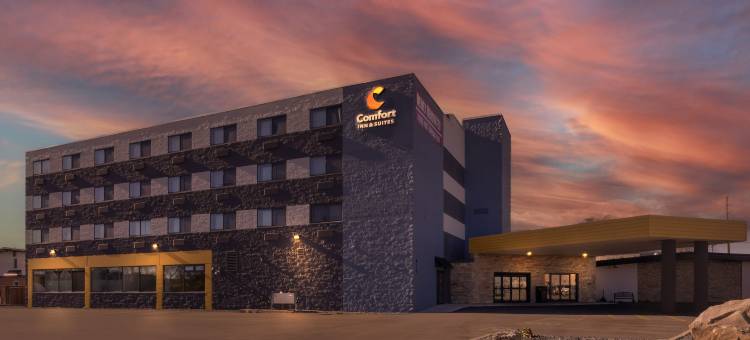 舒适套房酒店(Comfort Inn &amp; Suites)图片