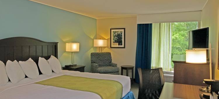 威廉斯堡历史区贝斯特韦斯特酒店(Best Western Williamsburg Historic District)图片