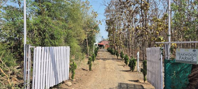柚木农场(Teakwood Farms)图片