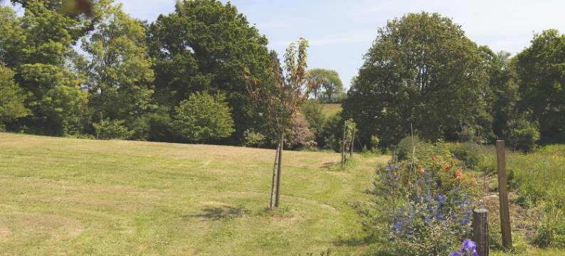 GERBOLD的停留(Escale de Gerbold)图片