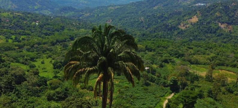 芬卡拉罗卡(Casa Campestre Finca la Roca)图片