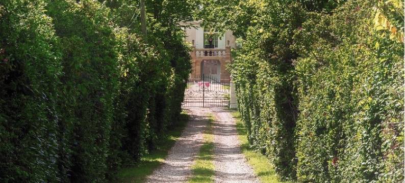 库特罗庄园(Manoir le Coutureau Maisons d'hôtes)图片