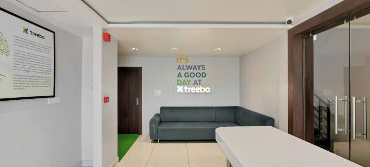 Treebo 光环(Treebo the Aura)图片