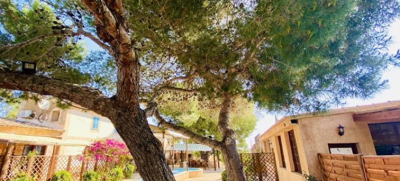 Sa Canova农场乡村旅馆(Finca Sa Canova Agroturismo)图片