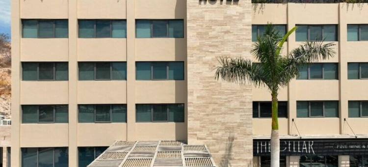 卡波之阳酒店(Gamma Los Cabos)图片