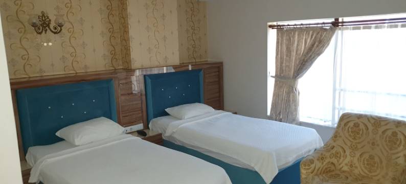 埃拉齐格股奈酒店(Elazig Gunay Hotel)图片