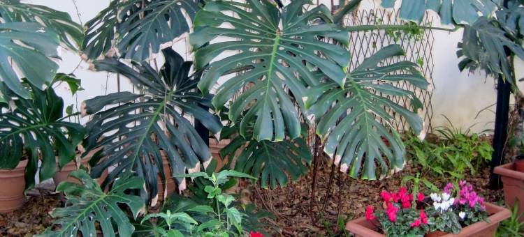 勒马B＆B酒店(Lirma B&B)图片