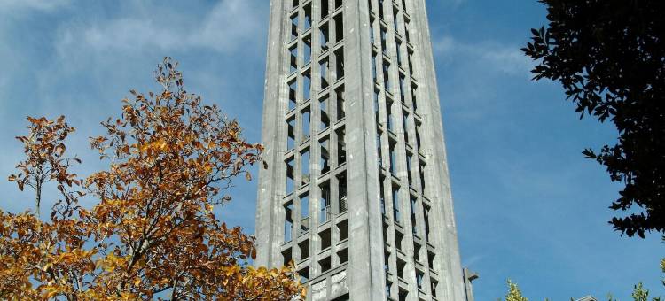 尼尔森阿森国际青年旅馆(YHA Nelson by Accents)图片