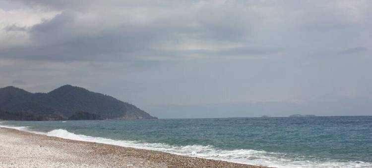 Fire 膳宿公寓(Fire Pansiyon)图片