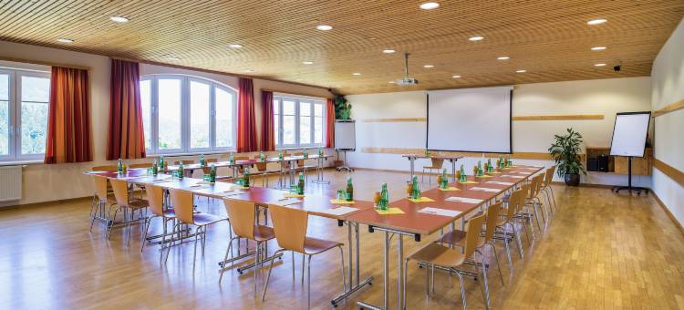 巴特奥塞JUFA酒店(Jufa Hotel Bad Aussee)图片