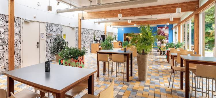 斯托亚凯埃格蒙德青年旅舍(Stayokay Hostel Egmond)图片