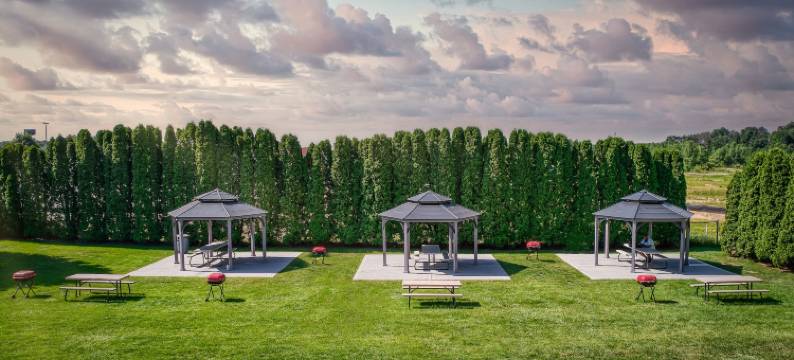 大侯爵水上乐园套房酒店(Grand Marquis Waterpark Hotel & Suites)图片