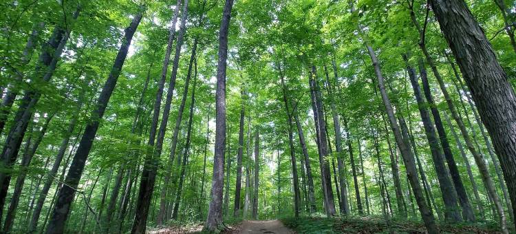 天杀者旅馆(Tenkiller Lodge)图片