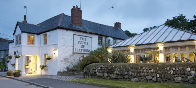 普卢姆菲泽斯住宿加早餐旅馆(The Plume of Feathers)图片