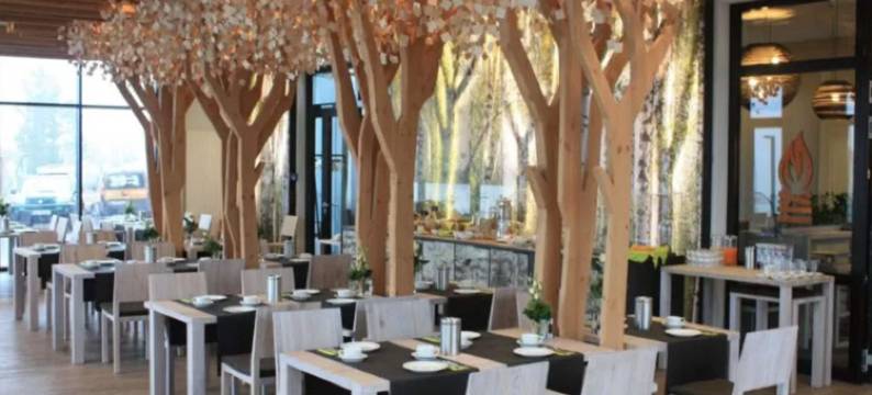 全景阿施贝格酒店(Panorama Hotel Aschberg)图片