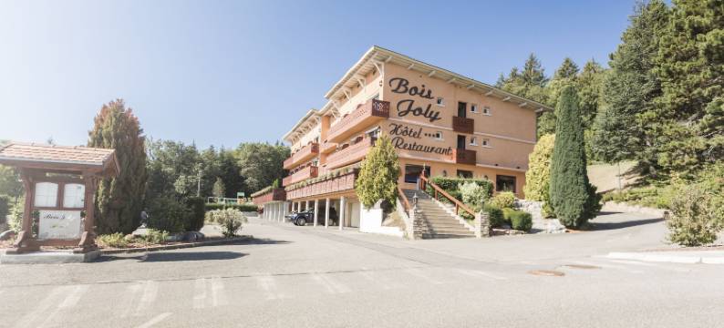 波伊若利酒店(Hôtel-Restaurant Bois Joly)图片