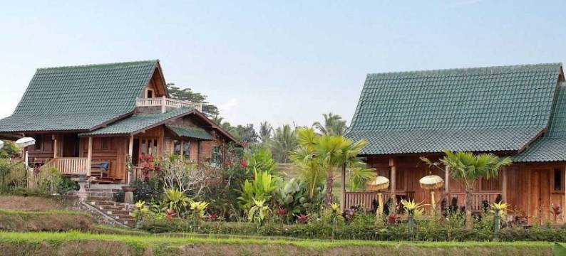 巴厘岛狄阿莫酒店(Ti Amo Bali)图片
