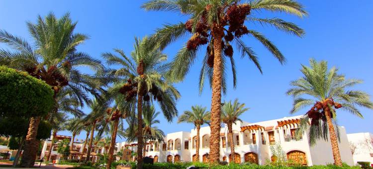 沙姆沙伊赫珊瑚山庄度假酒店(Coral Hills Resort Sharm El-Sheikh)图片