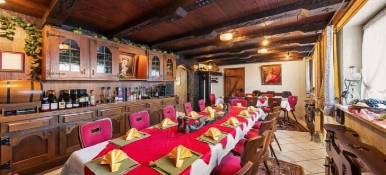 道纳布里克酒店(Hotel Donaublick)图片