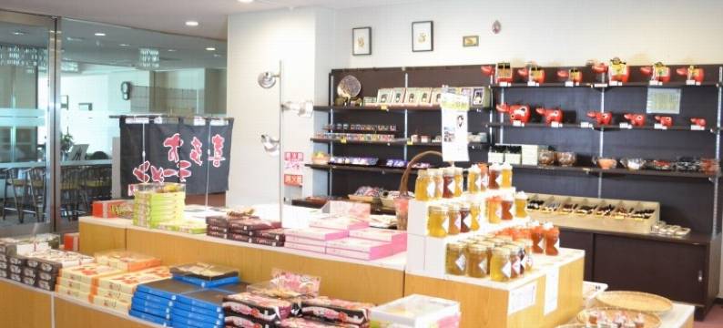 磐梯桧原湖畔酒店(Bandai Hibara Kohan Hotel)图片