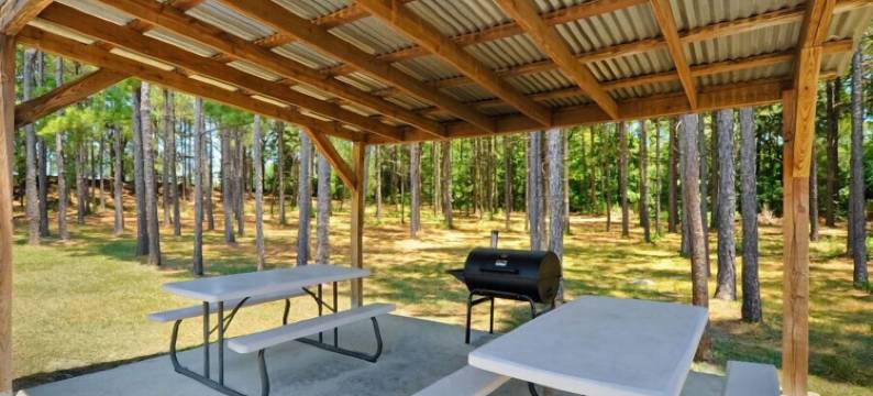 蒙蒂塞洛速8酒店(Super 8 by Wyndham Monticello AR)图片