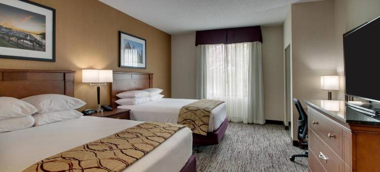 夏洛特-诺斯莱克德鲁里套房酒店(Drury Inn & Suites Charlotte Northlake)图片