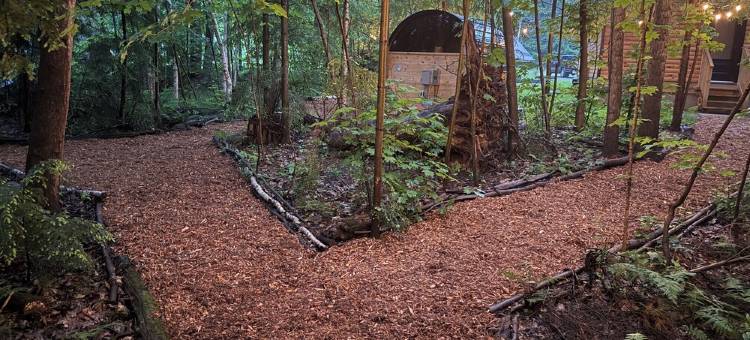 Bala Vida Cottage Steps to Lake Muskoka with Fire Pit & New Cedar Barrel Sauna图片