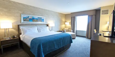 Holiday Inn Express 法戈