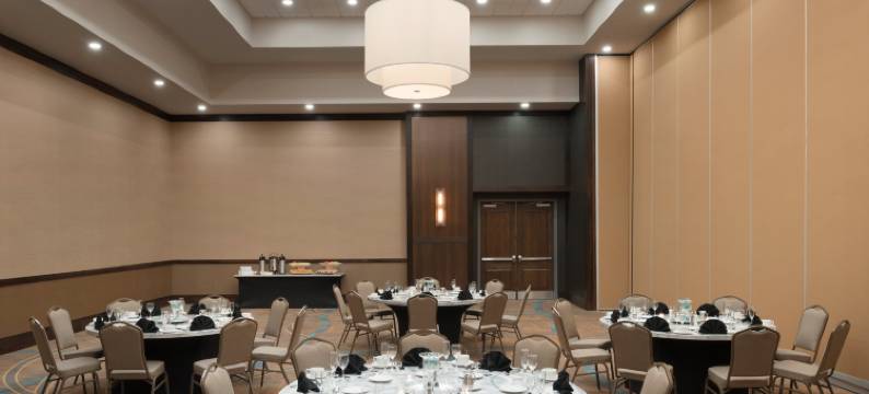 芝加哥内帕维希尔顿安泊酒店(Embassy Suites by Hilton Chicago Naperville)图片