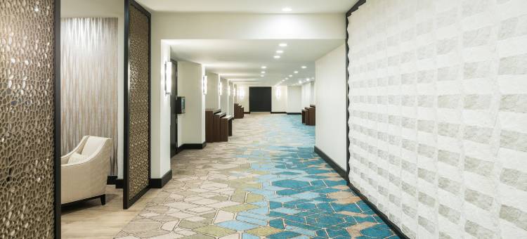 加勒比希尔顿酒店(Caribe Hilton)图片