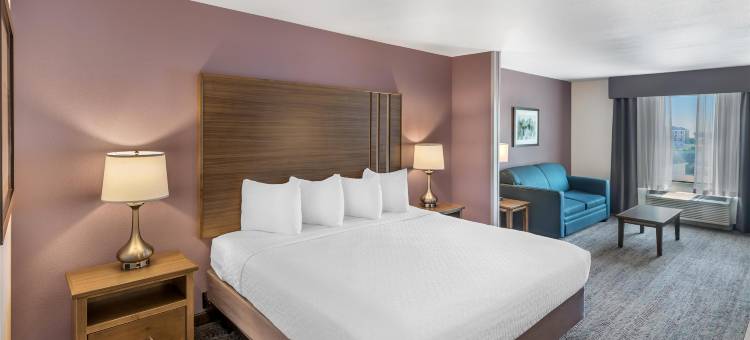 拉皮德城拉什穆尔贝斯特韦斯特优质酒店(Best Western Plus Rapid City Rushmore)图片