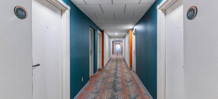 舒适套房酒店(Comfort Suites)图片