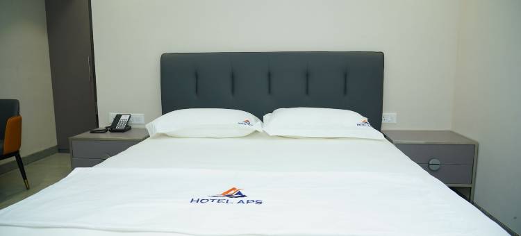 APS酒店(Hotel APS)图片