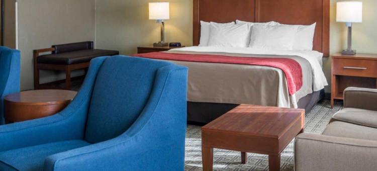 吉拉国家森林公园附近舒适酒店(Comfort Inn Near Gila National Forest)图片