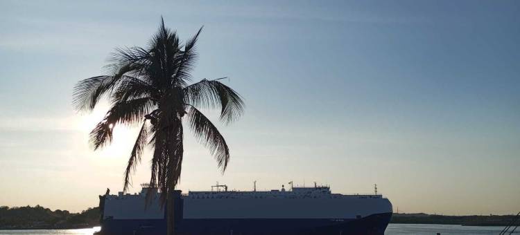 欧里登酒店(Hotel Oliden)图片