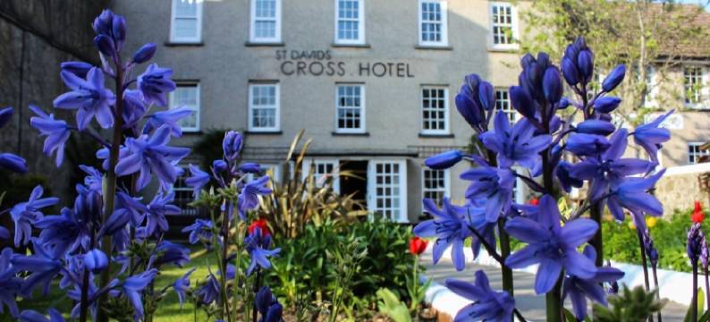 老十字酒店(St Davids Cross Hotel)图片