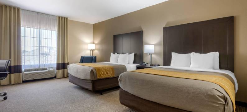 小石城北部麦凯恩购物中心舒适套房酒店(Comfort Inn & Suites North Little Rock McCain Mall)图片