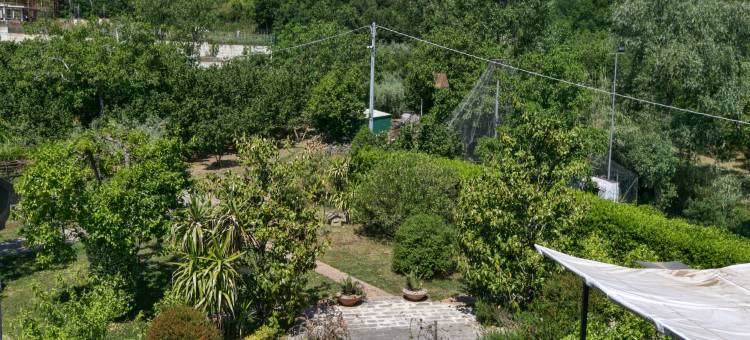 Holiday Home in San Cipriano with Pool图片