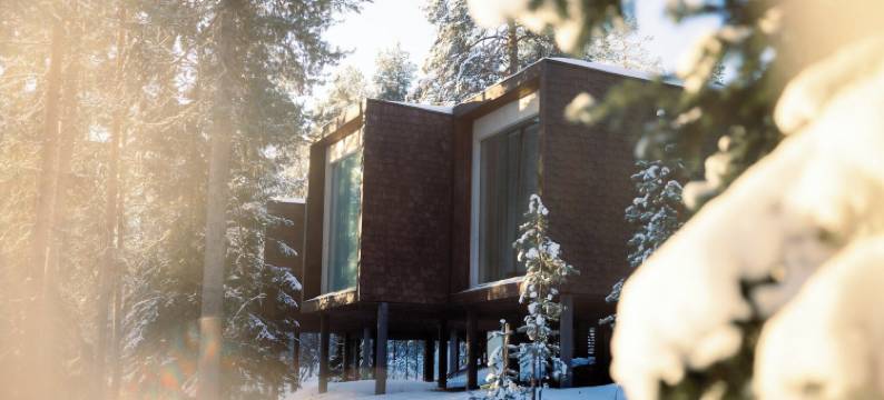 北极树屋酒店(Arctic TreeHouse Hotel)图片