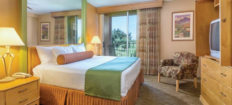 WorldMark广场度假村及水疗中心(WorldMark Palm Springs - Plaza Resort and Spa)图片