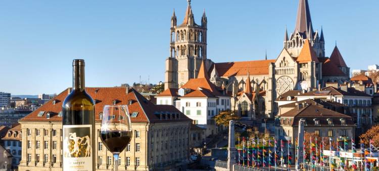 瑞士红酒酒店及酒吧-法斯宾德(Swiss Wine by Fassbind)图片