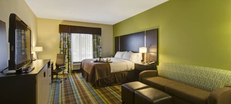 Holiday Inn 克里斯琴斯堡布莱克斯堡(Holiday Inn CHRISTIANSBURG BLACKSBURG by IHG)图片
