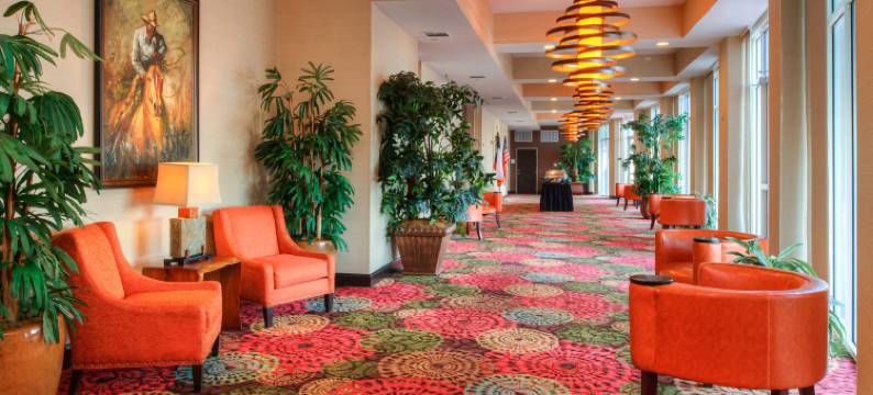 Holiday Inn 阿马里洛西部医疗中心(Holiday Inn AMARILLO WEST MEDICAL CENTER by IHG)图片