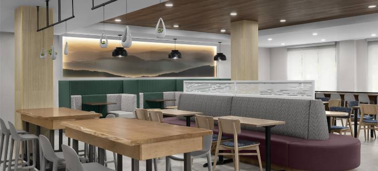 希尔顿惠庭套房酒店塞维尔维尔(Home2 Suites by Hilton Sevierville)图片