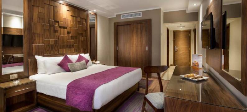 开罗普拉米萨 酒店(Pyramisa Suites Hotel Cairo)图片