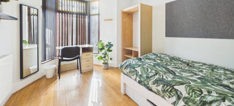 凤凰(The Phoenix)图片