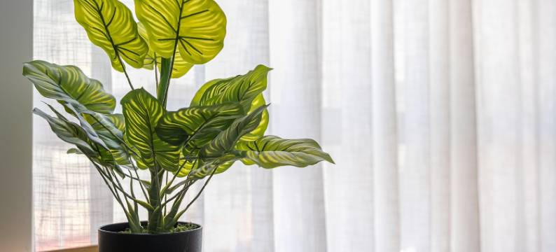 GuestReady - Lovely family home in Boavista图片