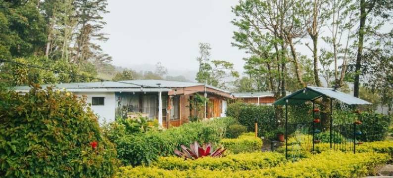 蒙特贝尔德霍利斯蒂科酒店(Hotel Holístico Monteverde)图片